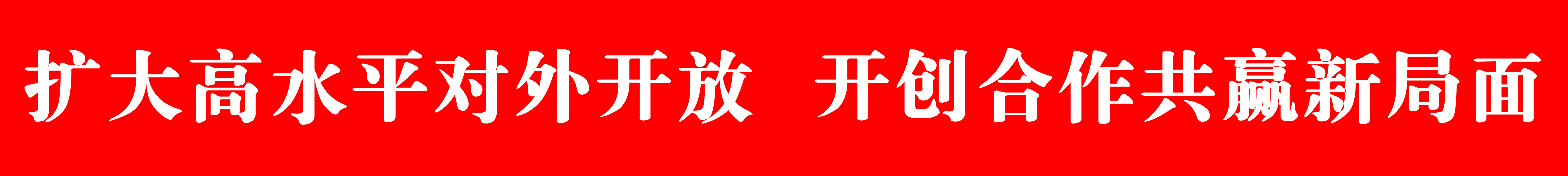 扩大高水平对外开放 开创合作共赢新局面