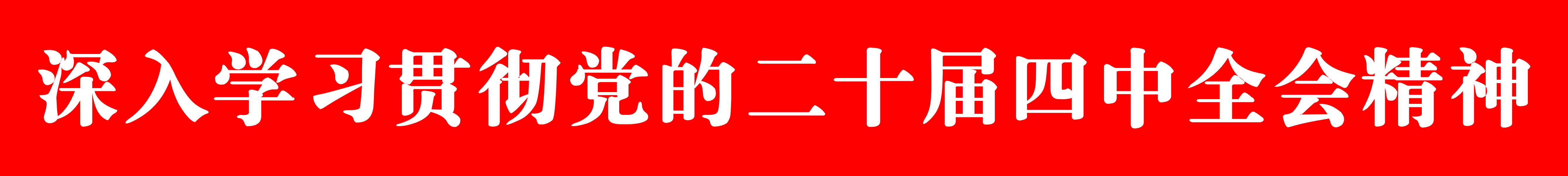 深入学习贯彻党的二十届四中全会精神